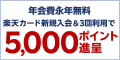 ǯ��ǯ�Ϥ��������̥����ڡ������������5,000��ʬ�Υݥ���ȡ�