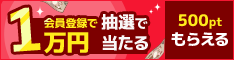 �����؁I�g���^�E�p�b�\�v���[���g�I��2/28����
