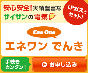 エネワンでんき(株式会社サイサン)