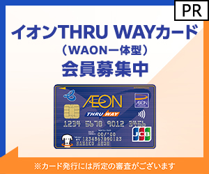 THRU WAYJ[hiWAOŇ^j