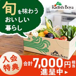 野菜の定期宅配サービス【 らでぃっしゅぼーや 】