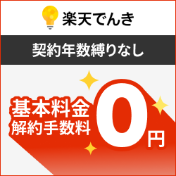 【8日まで超還元!!】楽天でんき