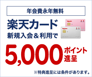 楽天カードはデメリットが多いというウワサは本当 徹底検証してみた お金のハナシ