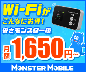 MONSTER MOBILE<マンスリー・2年契約プラン＞