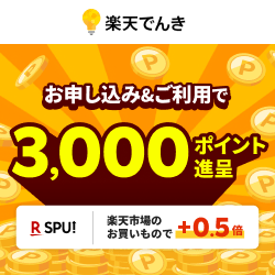 【10月1日まで13,500pt！】楽天でんき