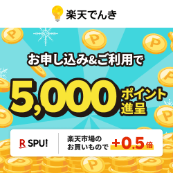 スポーツ ベット アイ オーカジノ 入金 方法